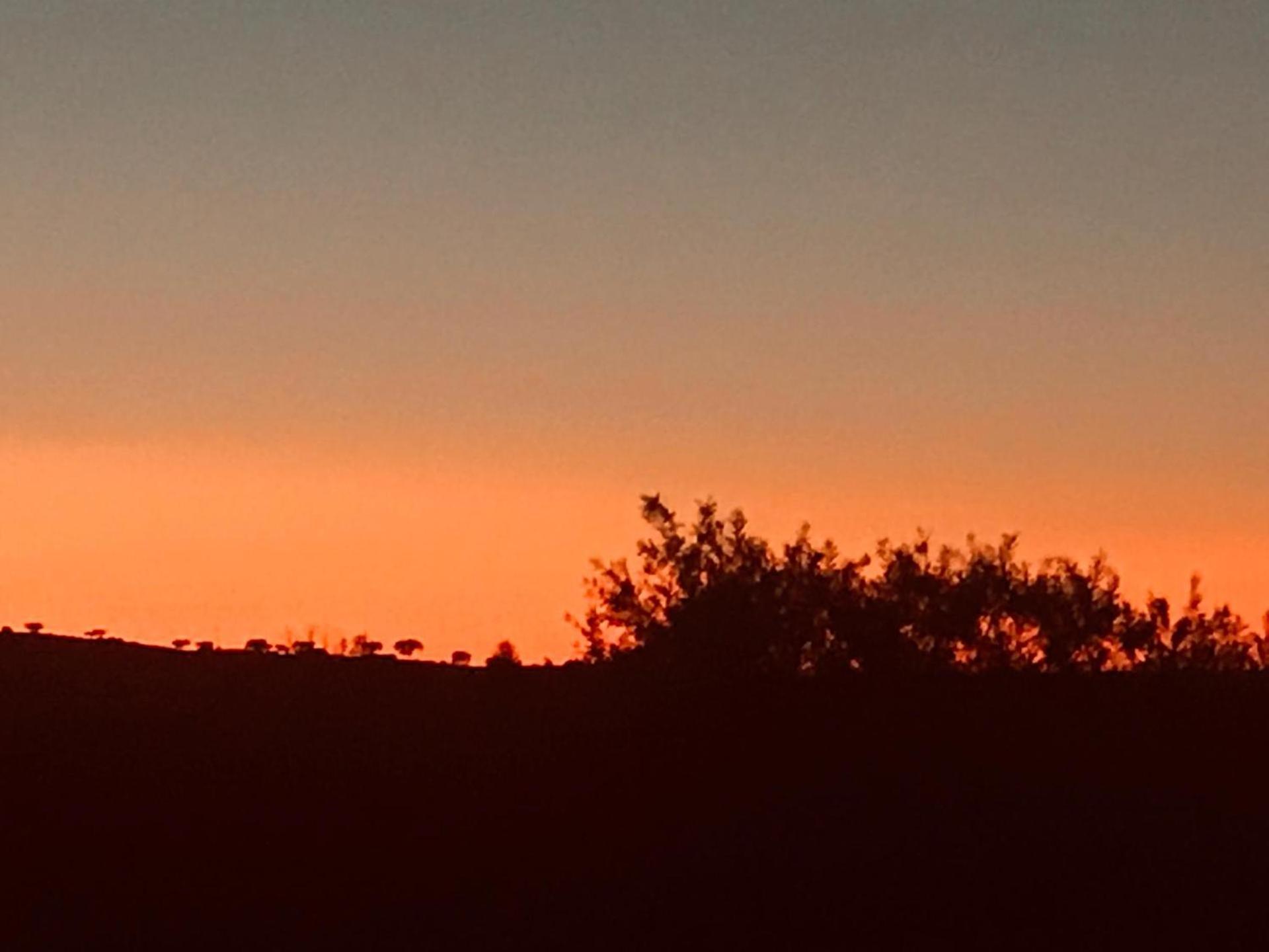Por-Do-Sol Villa São Pedro do Corval 外观 照片